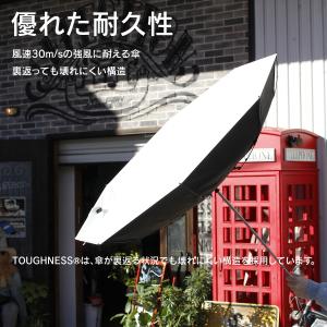 バグスロウ アンベル タフネス ヒートブロック...の詳細画像2