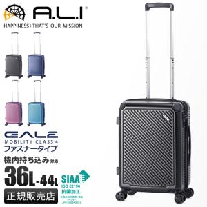 最大46% 6/9限定 アジアラゲージ ガーレ スーツケース 機内持ち込み Sサイズ S SS 36L 44L 拡張機能付き 静音 抗菌 軽量 GALE ALI-6020-18W キャリーケース｜selection