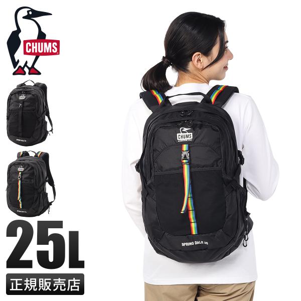 最大41% 2/25限定 チャムス スプリングデール リュック メンズ レディース ブランド A4 ...