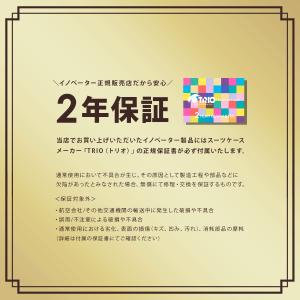 最大51% 3/11限定 2年保証+特典 限定...の詳細画像1