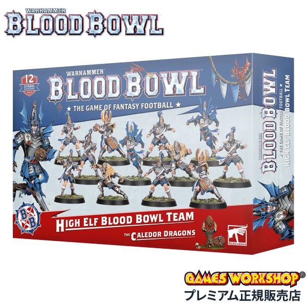 ウォーハンマー ブラッドボウル ハイエルフ・チーム：カレドール・ドラゴンズ WARHAMMER HI...
