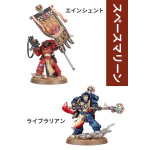 ウォーハンマー アルマゲドン ボックスセット ...の詳細画像5
