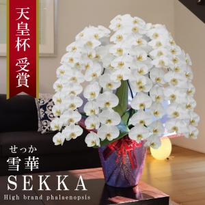 純国産 胡蝶蘭 花持ち長い 大輪 7本立ち 80輪〜【雪華(せっか)】白 プレミアム 長寿祝 お祝い 開業祝 移転祝 開店祝 就任祝 昇進祝 当選祝 ギフト 贈り物