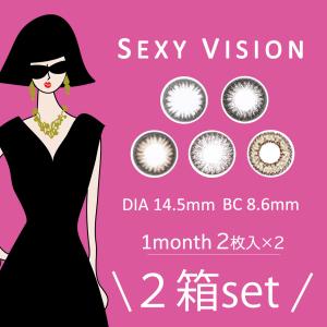 選べる2箱セット 1箱2枚入り セクシービジョン Sexy Vision カラコン 1ヵ月 度なし 1ヶ月使用14.5mm カラーカラコン コンタクト カラコン