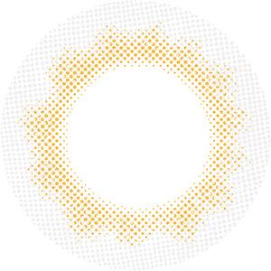 1day2箱でこの価格 エヌズコレクション 2...の詳細画像4