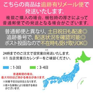 電動 彫刻 ペン型 電池式 替えチップ付き D...の詳細画像4