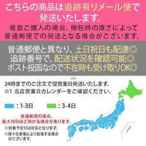 iPhone 充電 ケーブル 切れにくい 強化...の詳細画像4