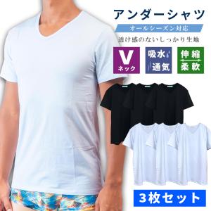 半袖 Tシャツ Vネック メンズ アンダーシャツ 無地 セット 3枚 福袋 綿 コットン 速乾 白 黒 ブランド アンダーウェア インナー とろけるぱんつ｜selectshopmad