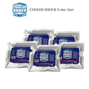 COOLER SHOCK Sサイズ 5個セット(クーラーショック) 保冷剤 予冷約8時間 キャンプ 釣り レジャー
