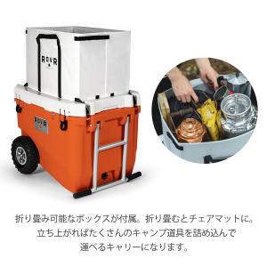 SALE40%OFF ROVR PRODUCT...の詳細画像4