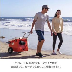 SALE40%OFF ROVR PRODUCT...の詳細画像5