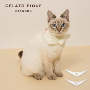 SALE20%OFF ジェラートピケ CAT＆DOG サマーベア柄保冷剤入れバンダナ paga262582 ジェラピケ 犬猫用 散歩 小型犬 gelato pique