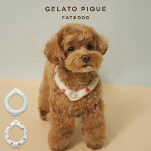 ジェラートピケ CAT&DOG サマーモチーフ柄Coolingネックリング pagg262588 ジェラピケ 犬用 小型犬 首輪 冷却リング 散歩 お出かけ 暑さ対策 gelato pique