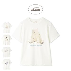 ジェラートピケ 接触冷感 シーアニマル柄ワンポイントTシャツ pwct262278 ジェラピケ ルームウェア パジャマ 部屋着 レディース gelato pique爆買｜セレクトショップムー Yahoo!店