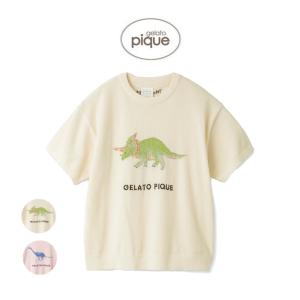 gelato pique ジェラートピケ ルームウェアー 通販 ダイナソージャガードプルオーバー