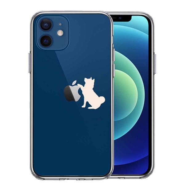 iPhone 12 12Pro 12mini 12ProMAX ケース ハードケース ハイブリッド ...