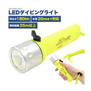 防災用品 防災グッズ 水深20mまで使える LEDダイビングライト 災害 防災 レジャー 非常用懐中電灯｜selectshopsig