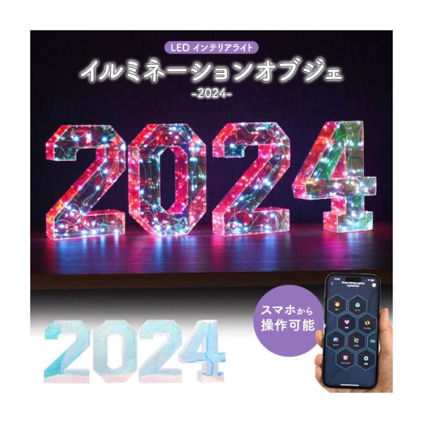 ライト 多彩なLEDライトで幻想的な空間を演出 イルミネーションオブジェ 2024