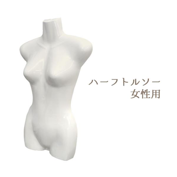 店舗用品 ディスプレイ用品 婦人用前面ハーフトルソー