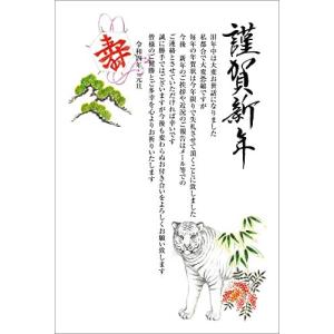 2022 お年玉付き年賀状 年賀はがき 終活年賀状 10枚パック