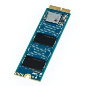 OWC オーラ N2 NVMe 内蔵ソリッドステートドライブ OWCS4DAB4MB10 ブルー (SSDのみ 1.0TB) 並行輸入｜selectshopwakagiya