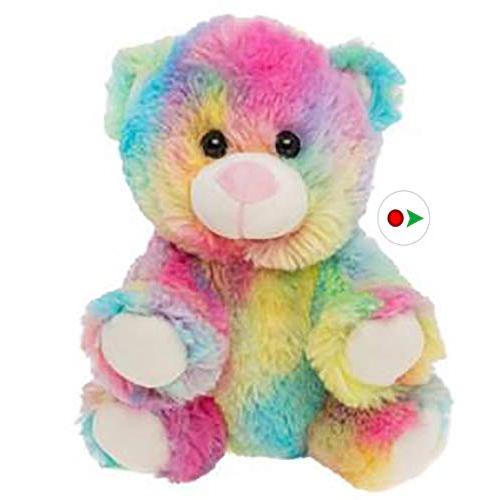 Cuddly Soft 8 inch Stuffed Rainbow Bear...We Stuff...