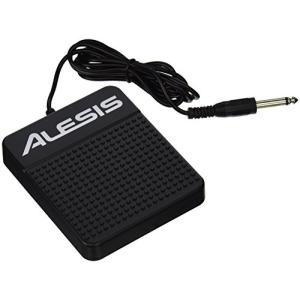 Alesis ASP-1 キーボード サステイン ペダル 並行輸入の商品画像