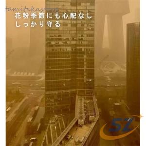 花粉メガネ 花粉用メガネ 軽量 おしゃれ ブル...の詳細画像2