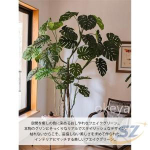 モンステラ インテリア モンステラツリー リビ...の詳細画像1