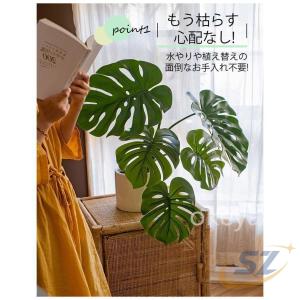 モンステラ インテリア モンステラツリー リビ...の詳細画像5