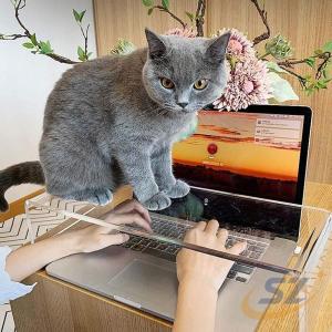 透明 カバー 猫防止 ペット用品 お出かけ 室...の詳細画像1
