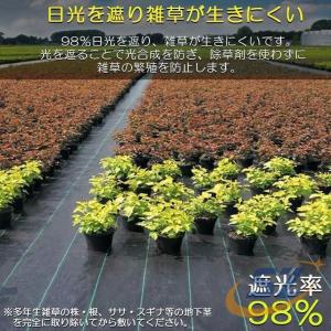 防草シート 50m 2m 除草シート 園芸用シ...の詳細画像4