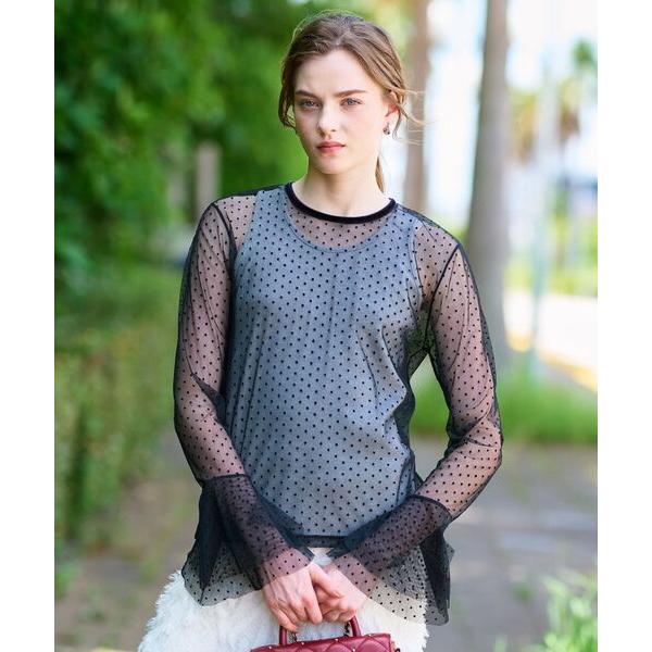 DRESSTERIOR / ドレステリア 【洗える/シアー素材】シアードットベルスリーブカットソー