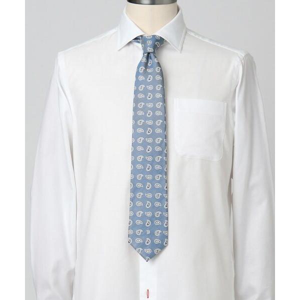 DRESSTERIOR / ドレステリア ペイズリータイ