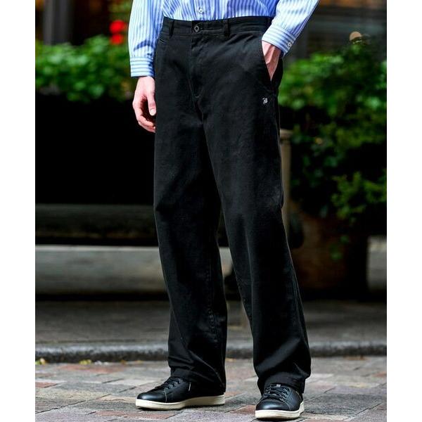 DRESSTERIOR / ドレステリア ヴィンテージ アルティメットチノパンツ