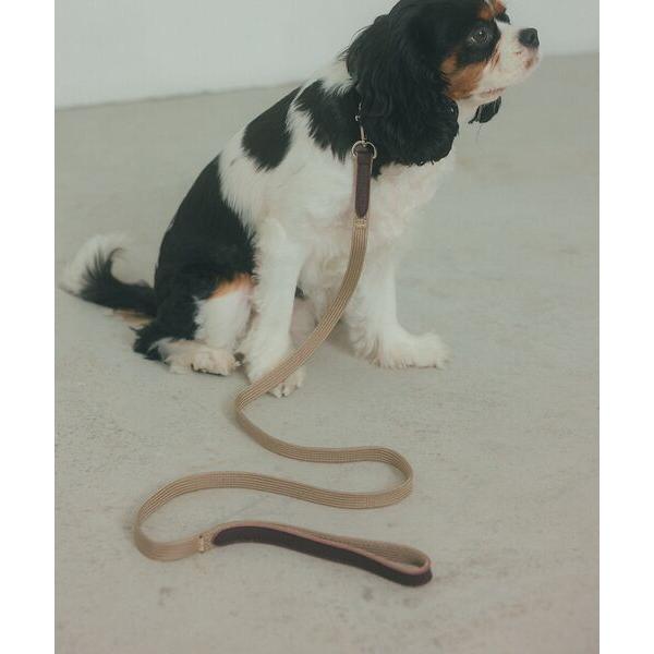 LOWELL Things / ロウェルシングス MATIE/リードShort【Direction ...