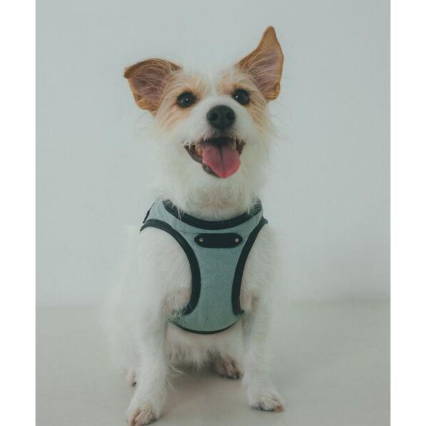 LOWELL Things / ロウェルシングス MATIE/ハーネス(S/M/L)【Directi...