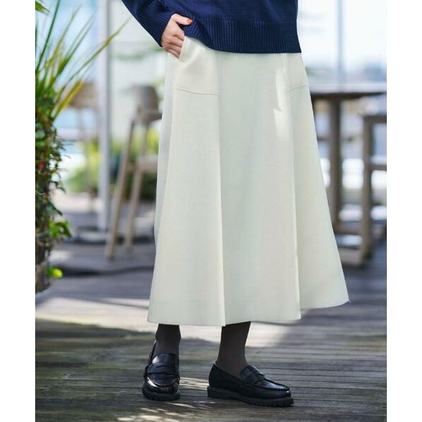 Dessin / デッサン メルトンジャージフレアスカート