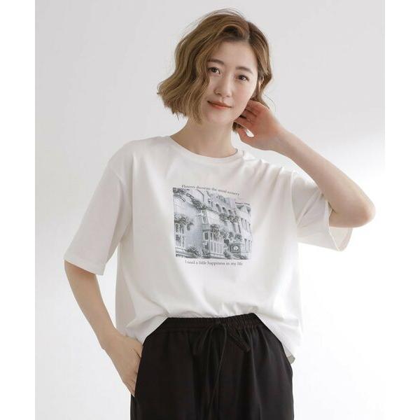 grove / グローブ 夏に映える　大人のクロップドTシャツ