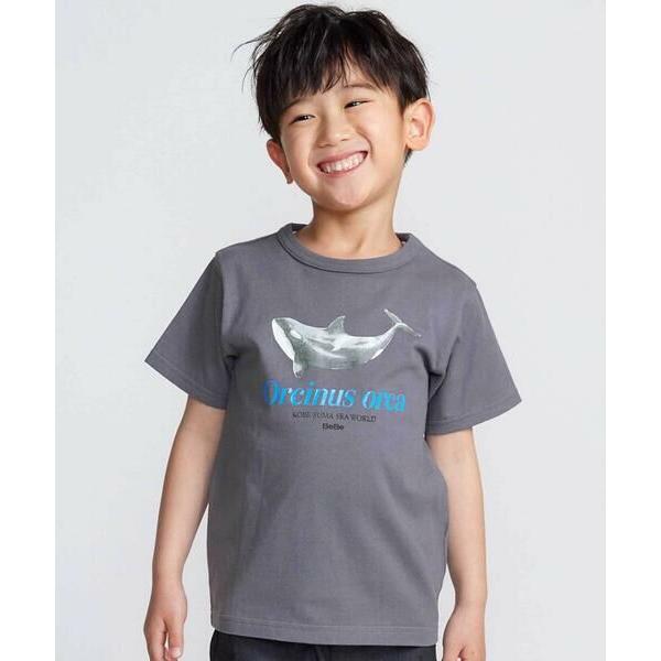 BeBe / べべ 【 速乾 】【神戸須磨シーワールド×BeBe】シャチ・イルカ 図鑑風半袖Tシャツ...