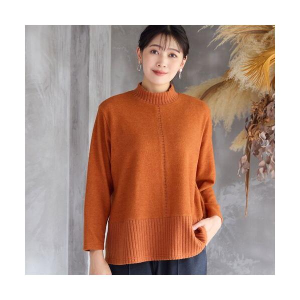 missel / ミゼール 【人気アイテム・洗える・3L/4Lサイズあり】ふんわり起毛カットソー