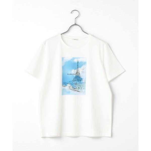 TABASA / タバサ 40/2マーセライズ天竺プリントTシャツ