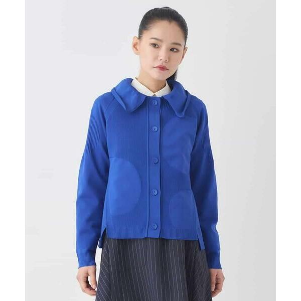 HIROKO BIS GRANDE / ヒロコビス グランデ 【大きいサイズ】ドットジャガードペプラ...