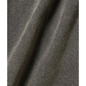 LACOSTE / ラコステ 12オンス デニ...の詳細画像1