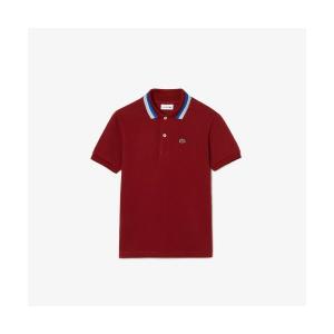 LACOSTE / ラコステ BOYSボーダーリブニットカラーポロシャツ｜selectsquare