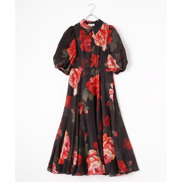 Phase Eight / フェイズエイト Cilla Floral Shirt Midi Dres...