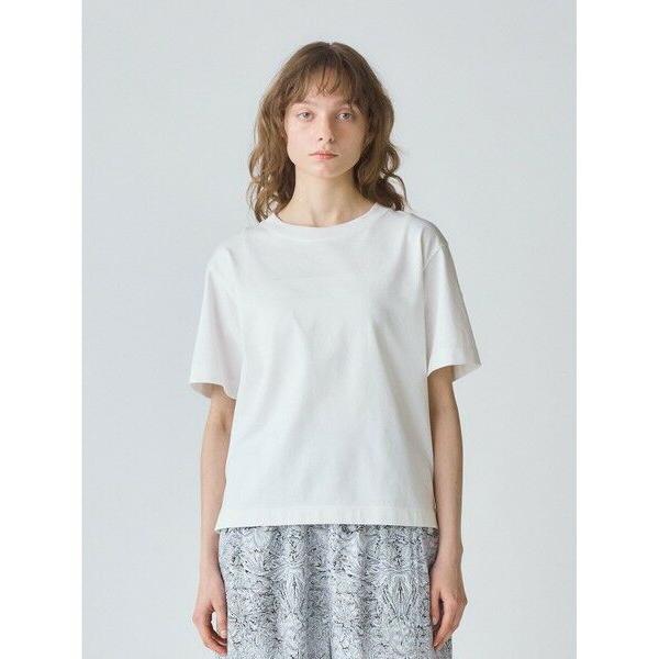 MidiUmi / ミディウミ MidiUmi ベーシックTシャツ