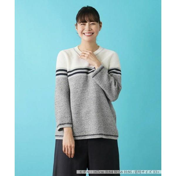 Leilian PLUS HOUSE / レリアンプラスハウス プルオーバーニット