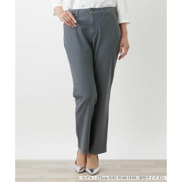 Leilian PLUS HOUSE / レリアンプラスハウス ストレートデニム【L JEANS】