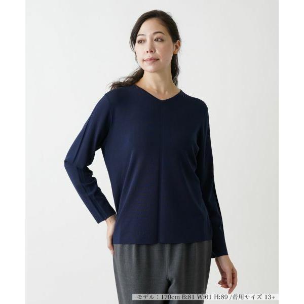 Leilian PLUS HOUSE / レリアンプラスハウス Vネックセーター